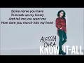Download Lagu Alessia Cara - I'm Yours Lyrics Video