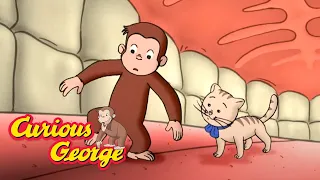 George Learns About Germs -