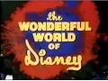 Download Lagu 'The Wonderful World Of Disney' (Intro, 1975)