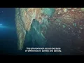 Lagu The Underwater River - A Hidden Wonder of Nature