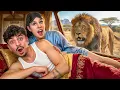I Stayed in a Luxury Animal Hotel