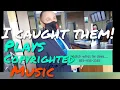 Conspiracy ring at the Courthouse LaSalle County Corruption EPISODE 7