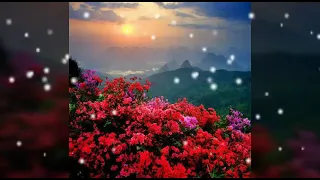 مقاطع فيديو يوم الجمعه  مقاطع فيديو يوم الجمعه