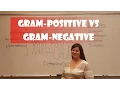 Gram Positive and Gram Negative Bacteria