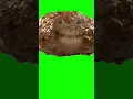 Download Lagu Ik ga jou opvreten! #funny #comedy #trending #humor #crazy #memes #grappig #funnyvideo #funnyshorts