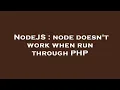 NodeJS node doesn t work when run through PHP