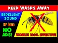 Download Lagu ANTI WASPS REPELLENT SOUND ⛔🐝 KEEP WASPS AWAY - ULTRASONIC SOUND