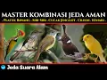 Download Lagu MASTER | Pelatuk Bawang, Siri-siri, Cucak Jenggot, Cililin, Kenari. JEDA SUARA ALAM