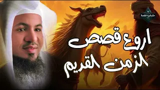 ساعة ونصف من الإسترخاء استمع إلى أروع القصص المشوقة والعجيبة أغمض عينيك واستمع محمد الشنقيطي 