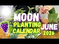 When to Plant by the Moon in June 2026 Lunar Planting Calendar