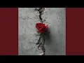 Download Lagu Erste Rose