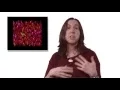 Engineering Physics - Meredith Betterton
