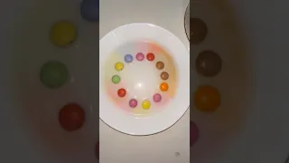 ترند قوس قزح تجارب Trending Shorts Cat خليلة وباستيته خليلو 