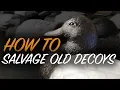 How to Paint Decoys Cheap Duck Decoys