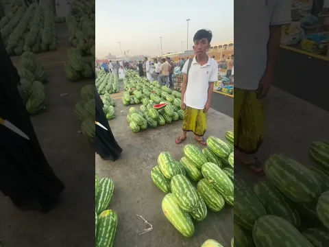 Semangka besar besar Di Mekkah murah!