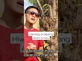 Download Lagu Hiwang Pulipang - Alam Limau #windasanjaya #tamsanjaya #lagulampung #tigaserangkai
