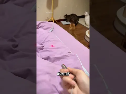 Usou o Gato Como Interruptor