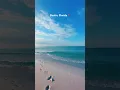 Download Lagu DESTIN, FLORIDA WHITE SAND BEACH 🏝️ #beach #destin
