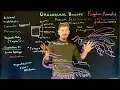 Phylum Arthropoda Introduction