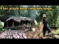 Download Lagu 4 hari 3 malam jelajah hulu sungai bermalam dan berburu ikan mahser tuo tuo