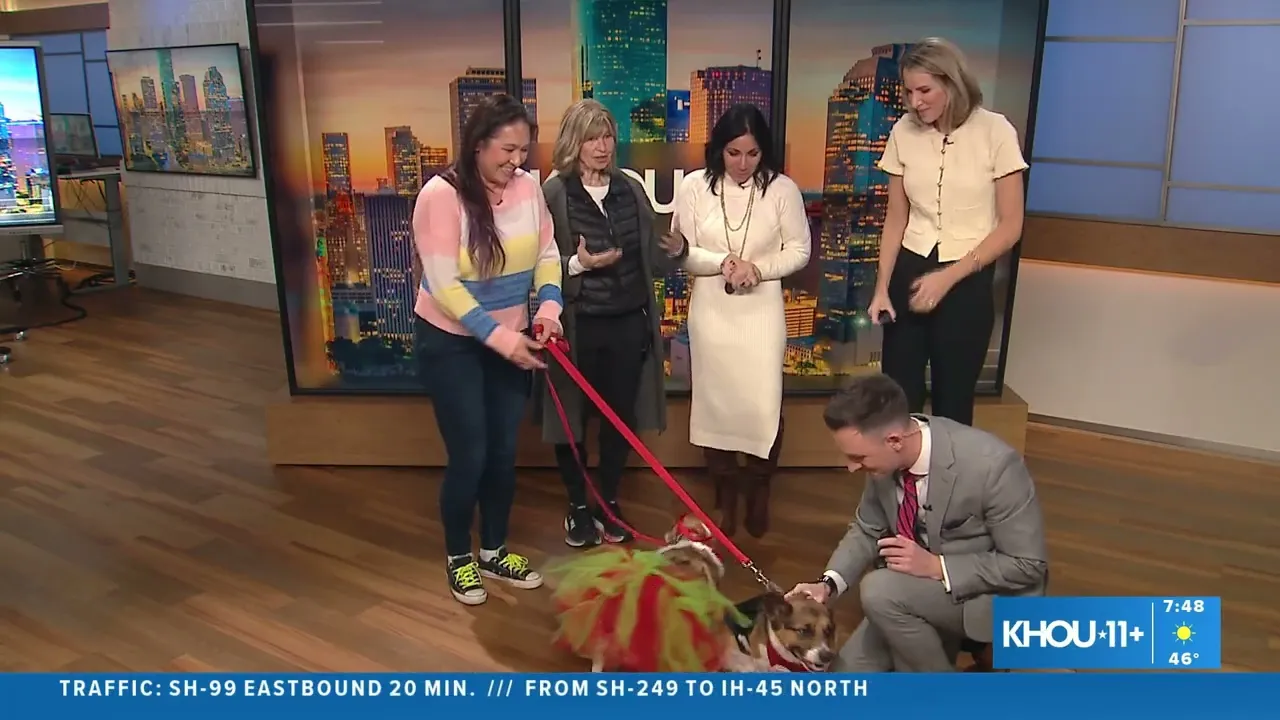 KHOU: Tiffany Bittner and Healing Species Discuss The Harris Center's PAWS Program