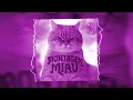 Lagu MONTAGEM MIAU (ULTRA SLOWED) - Lenar, Leonardo P
