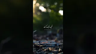 ازاي ازاي ازاي اوصفلك يا حبيبي ازاي    ام كلثوم  زمن الفن الجميل  كوكب الشرق دندنها