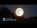 Planting by the Moon Know - How and Tips for September 2023