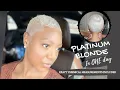 Platinum Blonde How to Bleach Dark Brown Black to Platinum Blonde - Save Money and Do it Yourself