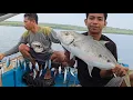 Download Lagu Modal sabiki umpan bulu di sambar IKAN BESAR, masak makan dipantai wtih Suscriber Morowali Sulteng