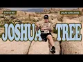 Download Lagu CHILL LIQUID #DNB DJ SET @ JOSHUA TREE 🌵 USA 🇺🇸 2025 | NATURE VIBES
