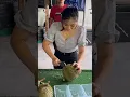 Download Lagu Malaysian Lady Selling Fresh Durian - Fruit Cutting Skills