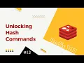 13 Redis 101 Redis Hash Commands Demystified