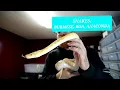 REPTILES Burmese Python Boa Constrictor Anaconda More Pythons Snakes In NEW COLORS