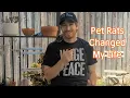5 Ways Owning Pet Rats Improved My Life