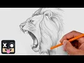 How To Draw a Lion Step by Step Art Lesson