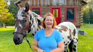 Why Every Horse Secretly Wants To Be An Appaloosa
