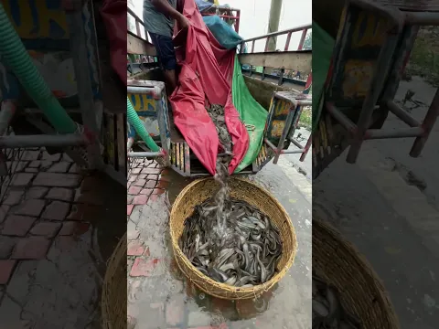 #fishing #fish