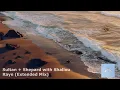 Sultan + Shepard with Shallou - Raye (Extended Mix)[TNH131E]