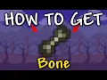 How to Get Bone in Terraria How to get bones Terraria