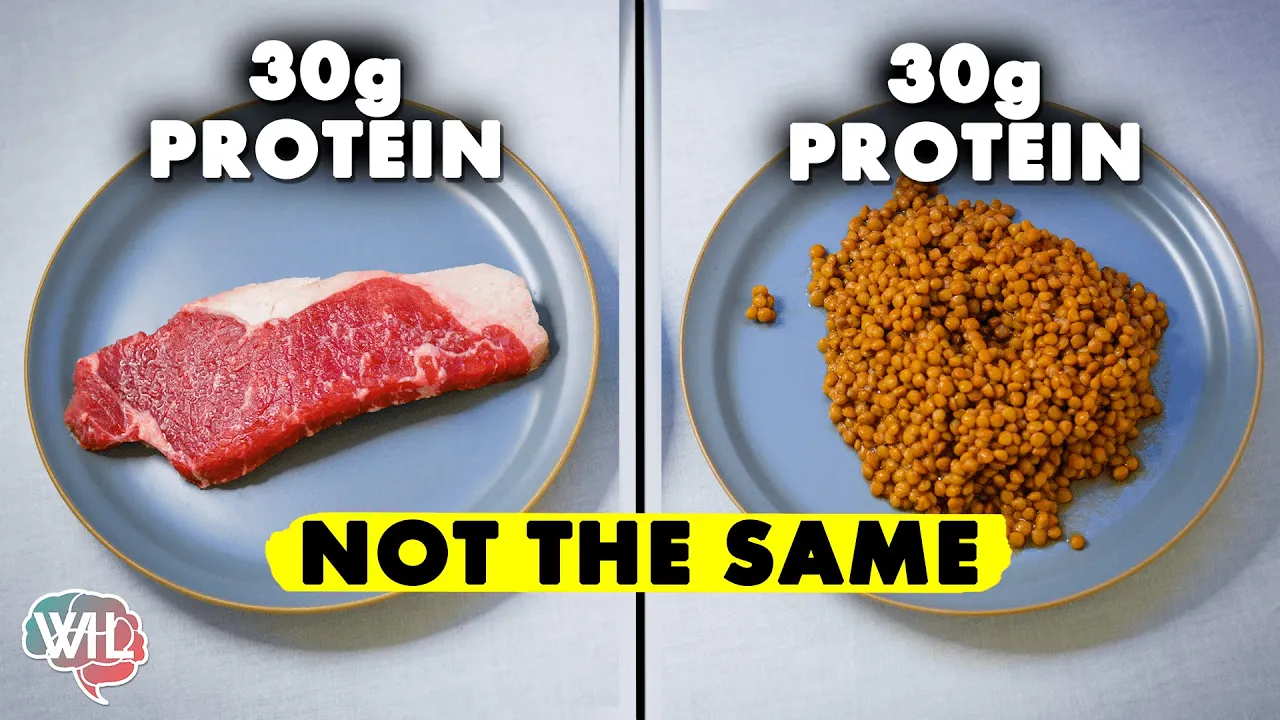 Outline Video Protein is not protein. Here's why