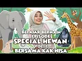 Download Lagu Belajar dan Bermain Spesial Hewan Vol 2 - Belajar Kata, Lagu Interaktif, Belajar Bicara Untuk Balita