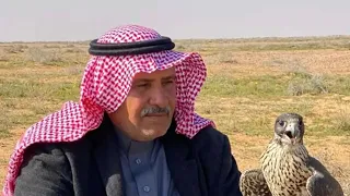 مجاراة الشاعر غازي بن عون لقصيدة سطام بن عون خلوني أستانس  مادام اني اشوف أداء صنهات العتيبي دندنها