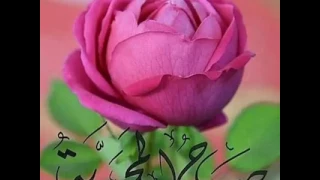 صباح الخير بصوت ام كلثوم 