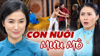 CON NUÔI MƯU MÔ | Phim Truyện Việt Nam 2026 | Phim Việt Nam Hay Nhất 2026
