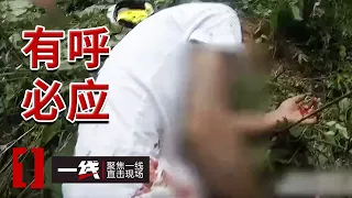 《一线》误食野生菌产生严重幻觉 轿车失控冲下山谷 面对特殊警情民警怎样做到有呼必应？20261008