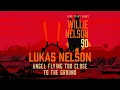 Angel Flying Too Close to the Ground (from Long Story Short: Willie Nelson 90)