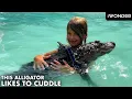 Wally The Alligator Just Wants To Cuddle With You