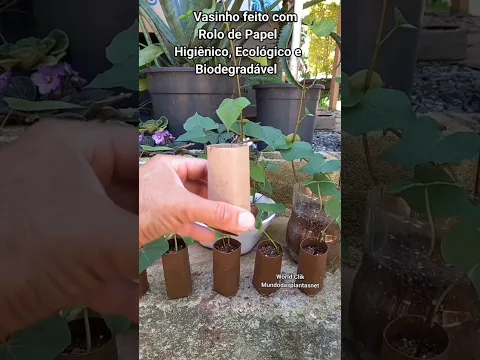 Vasinho feito com Tubo de Papel Higiênico é Ecológico e Biodegradável #shorts