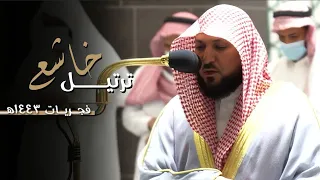 إصدار مرئي عالي الجودة هدوء وجمال يأسر الألباب من الشيخ د ماهر المعيقلي فجريات ١٤٤٣هـ 